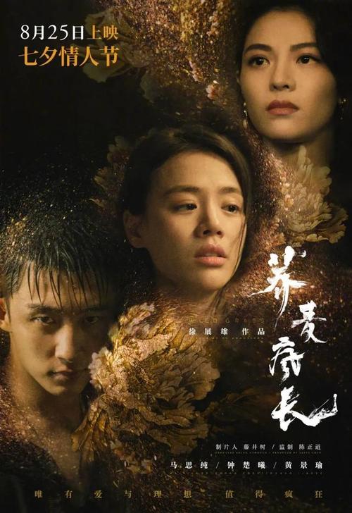 买个假的驾驶员从业资格证